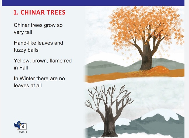 Chinar Trees And Other Rhymes & Folktales